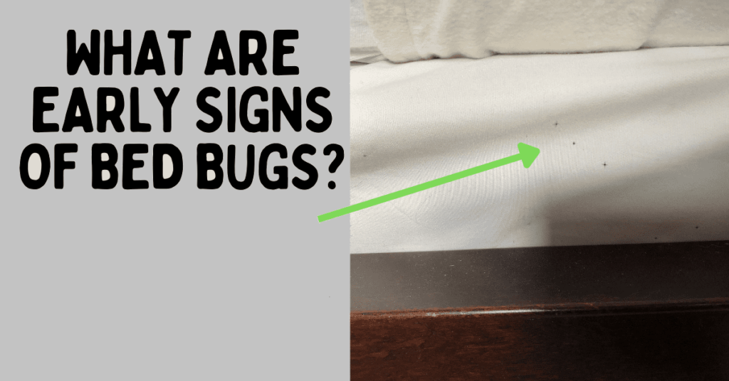 10 Early Signs Of Bed Bugs Orion Pest Solutions 1145