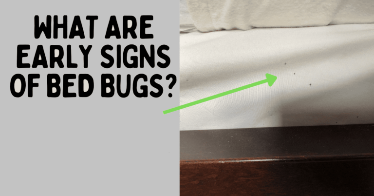 10 Early Signs Of Bed Bugs | Orion Pest Solutions